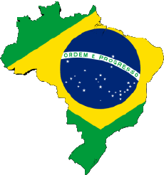 Bandiere America Brasile Vario 