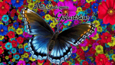 Messages German Alles Gute zum Geburtstag Schmetterlinge Animated Background 002 