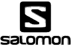 Sport Skifahren - Ausrüstung Salomon 