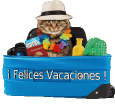Messages Espagnol Felices Vacaciones 12 