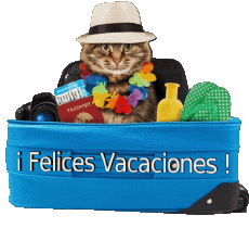 Messages Spanish Felices Vacaciones Transparent Background 12 