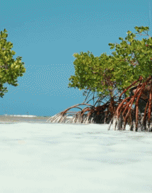 Humor - Fun Deportes Kite Surf Fun Win 