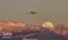 Humor - Fun Lugares - TimeLapse Australie Sydney 