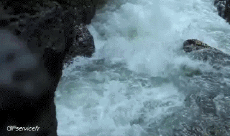 Umorismo -  Fun Sportivo Canoa Kayak Fun - Win 