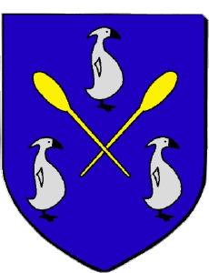 Drapeaux France Départements - Villes 974 LES AVIRONS 