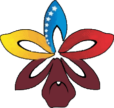 Sports Rugby National Teams - Leagues - Federation Americas Venezuela 