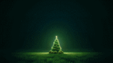 Mensajes Francés Joyeuses Fêtes (Noël) Video 