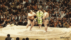 Humor -  Fun Sport Sumo Serie 01 