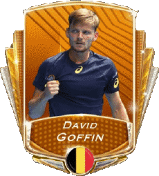 Sports Tennis - Joueurs Belgique David Goffin 