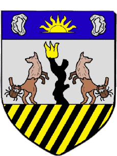 Blasón-Banderas Francia Departamentos - Ciudades 973 MONTSINERY TONNEGRANDE Blasón