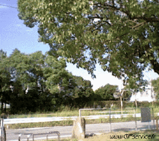 Humor - Fun Efectos 3d Stéreoscopique Wiggle 