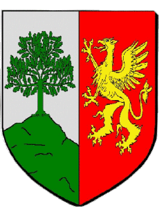 Banderas Francia Departamentos - Ciudades 69 ECULLY 