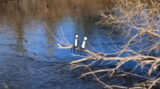 Humor -  Fun GIF Artists @Eclectech 