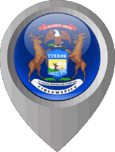 Banderas América U.S.A - Estados Michigan Marcador de ubicación 