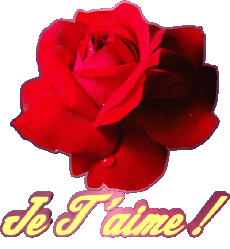 Messages Français Je T'aime 01 