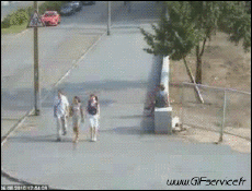 Humor - Fun Transporte Coches Accidente Fail 