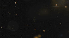 Messages Anglais Season's Greetings Video 