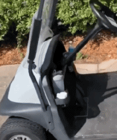 Humour - Fun Animaux Raton Laveurs Serie 01 