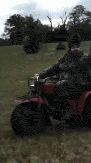 Humor -  Fun Transport 3 Wheels Serie 01 