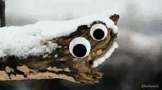 Umorismo -  Fun GIF Artista @Eclectech 