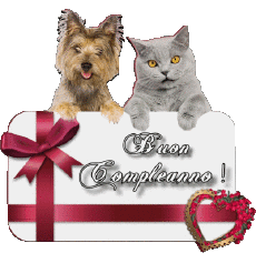 Messages Italien Buon Compleanno Animali 005 