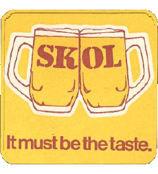 Bebidas Cervezas Brazil Skol 