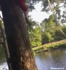 Umorismo -  Fun PERSONE Come Tarzan Fail 