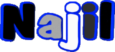 Prénoms MASCULIN - Maghreb Musulman N Najil 