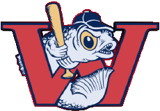 Deportes Béisbol U.S.A - A A B Winnipeg Goldeyes 