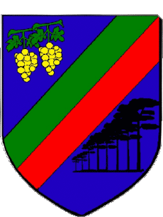 Blasone-Bandiere Francia Dipartimenti - Città 33 PESSAC Blasone