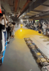 Umorismo -  Fun Sportivo Skateboard Free Style Fun - Win 03 