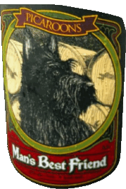 Boissons Bières Canada Picaroons 