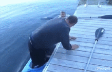 Humor -  Fun Sports Canoe Kayak Falls - Fail 