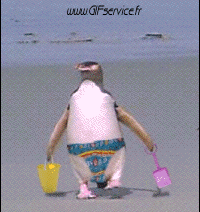 Umorismo -  Fun Animali Pinguini 01 