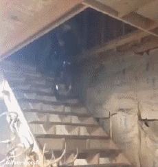 Humor - Fun Deportes Bicicleta de montaña Caídas - Fail 