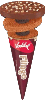 Food Ice cream Vadilal 
