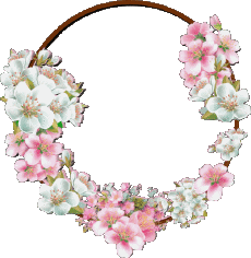 Nachrichten Spanisch Feliz Cumpleaños Floral Transparenter Hintergrund 017 