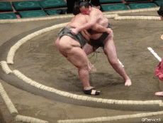 Humour - Fun Sports Sumo Serie 01 