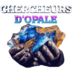 Multi Média Emission  TV Show RMC Decouverte - Story Chercheurs d'opale 