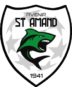 Sport Fußballvereine Frankreich Centre-Val de Loire 41 - Loir et Cher Avenir Saint Amand Longpré 
