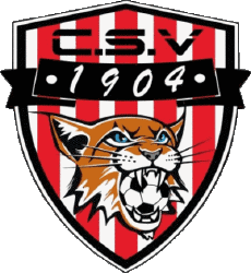 Sports Soccer Club France Bourgogne - Franche-Comté 39 - Jura CS Viry 