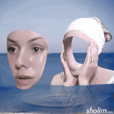 Humor -  Fun GIF Künstler Sholim 