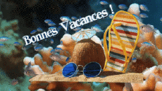 Messagi Francese Bonnes Vacances Sfondo animato 006 
