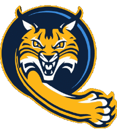 Deportes N C A A - D1 (National Collegiate Athletic Association) Q Quinnipiac Bobcats 