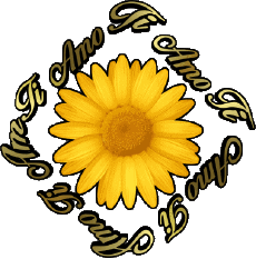 Messages Italien Ti Amo 02 