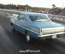 Humor - Fun Transporte Coches Wheeling Car 