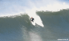 Humor -  Fun Sport Surf Fun - Win 