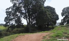 Umorismo -  Fun Sportivo Skateboard Free Style Fun - Win 01 