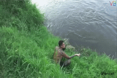 Humor -  Fun Animals Crocodiles - Caiman 01 