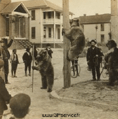 Umorismo -  Fun Effetti 3d Stéreoscopique Wiggle 